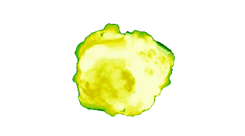 Explosion de dignité